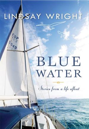 Cover of the book Blue Water by James Patterson, Annkatrin von Roth