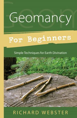 Cover of the book Geomancy for Beginners by Michael Furie