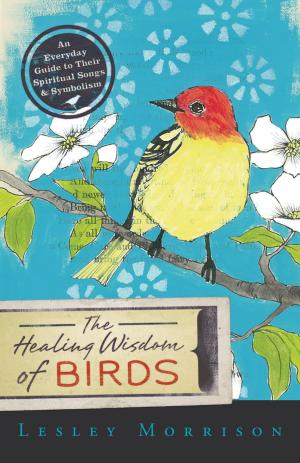 Cover of the book The Healing Wisdom of Birds by Carl Llewellyn Weschcke, Joe H. Slate PhD