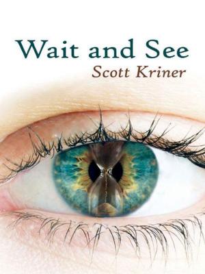 bigCover of the book Wait and See by 