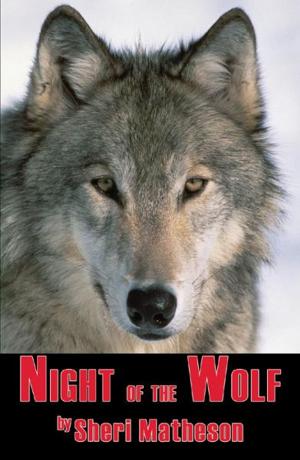Cover of the book Night of the Wolf by Shah, Lillian; Messinger, Laura