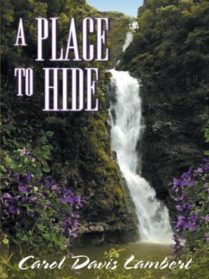 Cover of the book A Place to Hide by Cherry Red
