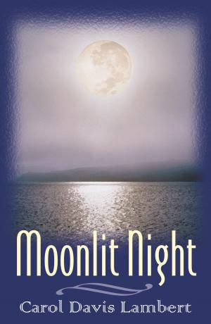 Cover of the book Moonlit Night by John Canzanella