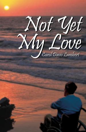Cover of the book Not Yet My Love by Paula J. Chretien