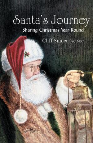 Cover of the book Santa's Journey by Davis, Rachelle