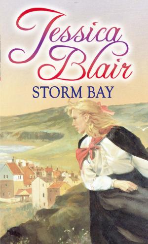 Cover of the book Storm Bay by John Harris