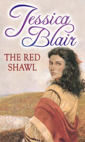 Book cover of The Red Shawl