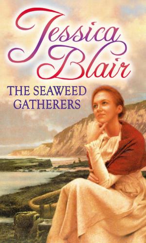 Cover of the book The Seaweed Gatherers by Denis Smith