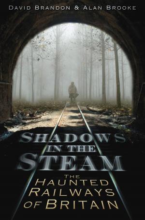 Cover of the book Shadows in the Steam by Adam Nightingale