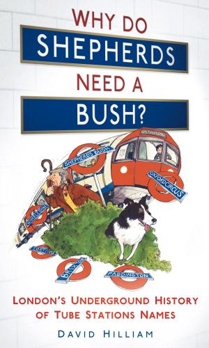 bigCover of the book Why Do Shepherds Need a Bush? by 