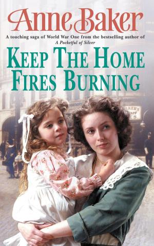 Cover of the book Keep The Home Fires Burning by Evie Blake