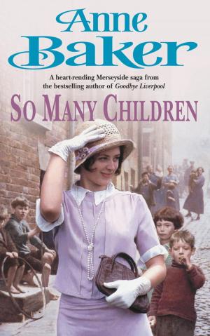 Cover of the book So Many Children by Melissa Perry Moraja