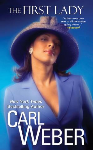 Cover of the book The First Lady by Lea Wait
