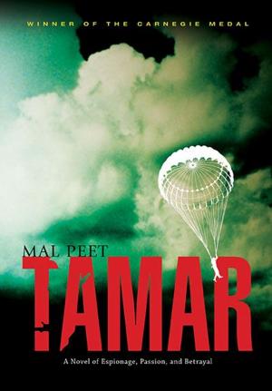 Cover of the book Tamar by Mary Losure