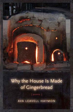Cover of the book Why the House Is Made of Gingerbread by Richard Bausch