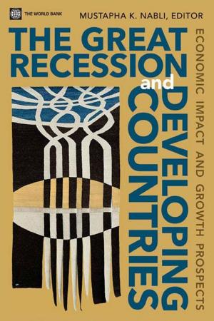 Cover of the book The Great Recession And Developing Countries : Economic Impact And Growth Prospects by Lewin Keith M.