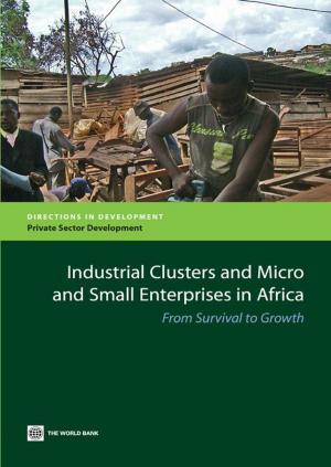 Cover of the book Industrial Clusters and Micro and Small Enterprises in Africa: From Survival to Growth by McCalla Alex F.; Nash John