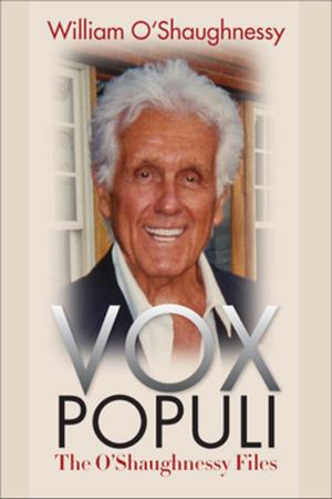 Cover of the book Vox Populi by J.P. Voss