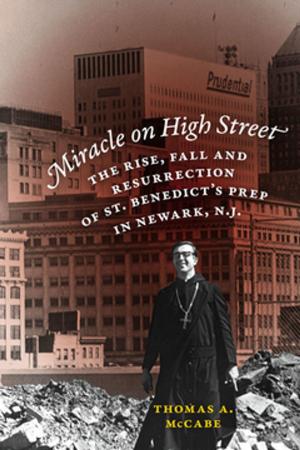 Cover of the book Miracle on High Street by Claudia Brodsky