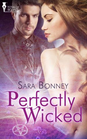 Cover of the book Perfectly Wicked by Amy Armstrong