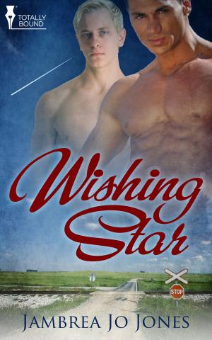 Cover of the book Wishing Star by Aliyah Burke, McKenna Jeffries