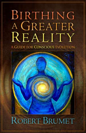 Cover of the book Birthing a Greater Reality by Rocco A. Errico