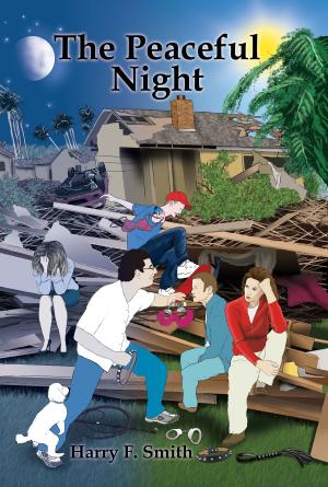 Book cover of The Peaceful Night