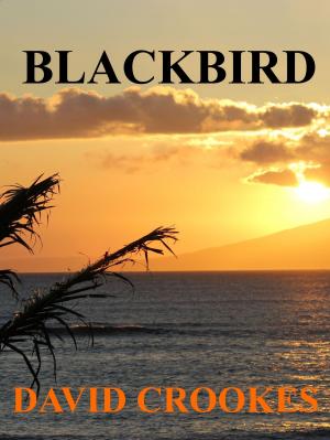 Cover of the book Blackbird by J. K. Cooke