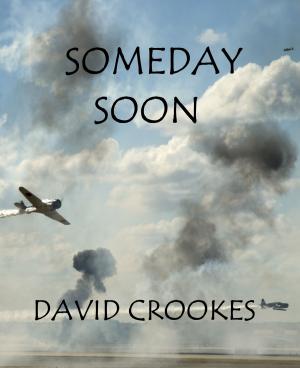 Book cover of Someday Soon