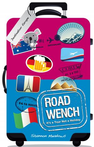 Cover of the book Road Wench: It's a Tour, Not a Holiday by Ryan Barlow