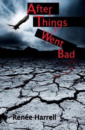 Cover of the book After Things Went Bad by Casey Odell