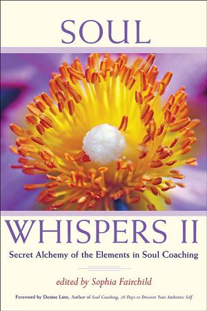 Book cover of Soul Whispers II