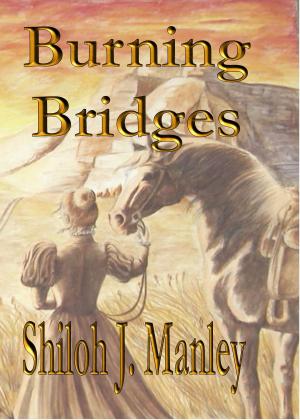 Cover of the book Burning Bridges by Cearúil Swords