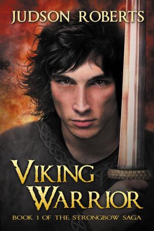 Cover of the book Viking Warrior by Eric Mrozek