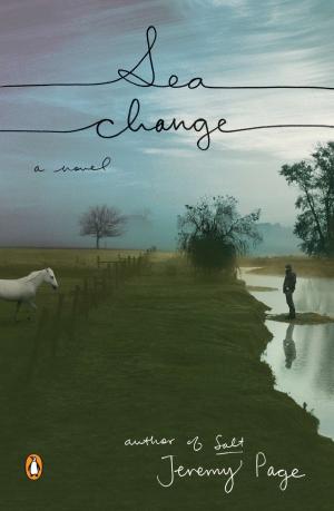Cover of the book Sea Change by Pamela Druckerman