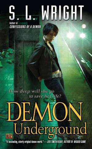 Cover of the book Demon Underground by Melissa de la Cruz