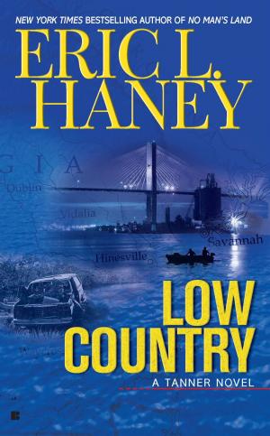Cover of the book Low Country by Zachary Dillinger