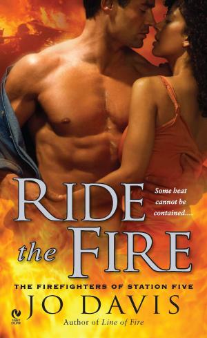 Cover of the book Ride the Fire by Tiffany Reisz