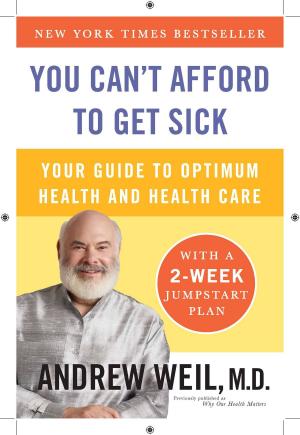 Cover of the book You Can't Afford to Get Sick by Tim Hurson, Tim Dunne