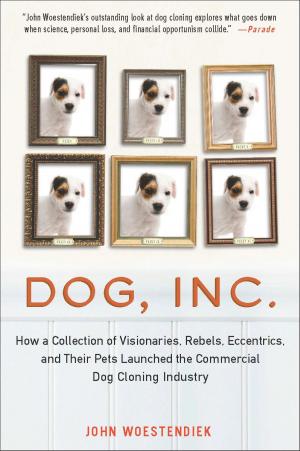 Cover of the book Dog, Inc. by Carlo Collodi