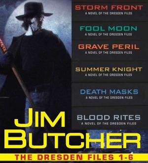Cover of the book The Dresden Files Collection 1-6 by Amanda Owen