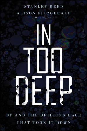Cover of the book In Too Deep by Daniel R. Schwarz