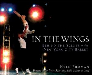 Cover of the book In the Wings by Gary Perkinson, T. J. Tomasi