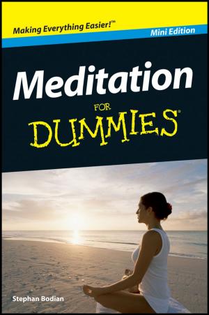 Cover of the book Meditation For Dummies, Mini Edition by Rabbi Ted Falcon, David Blatner