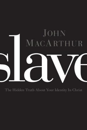 bigCover of the book Slave by 