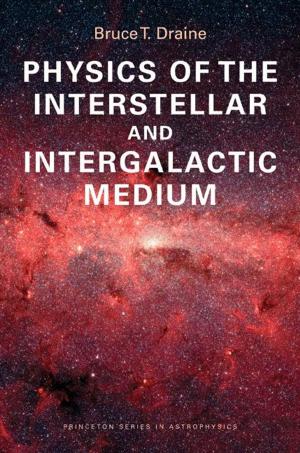 bigCover of the book Physics of the Interstellar and Intergalactic Medium by 
