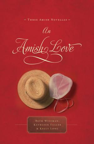 bigCover of the book An Amish Love by 