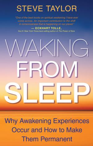 Cover of the book Waking From Sleep by Sam Parnia, M.D.