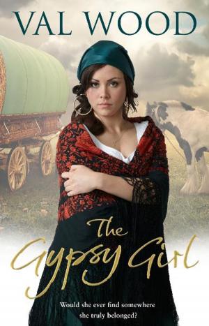 Cover of the book The Gypsy Girl by Jack Sheffield
