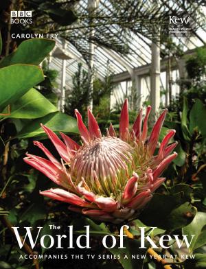 Cover of the book The World of Kew by Justin Richards, Mark Morris, George Mann, Paul Finch